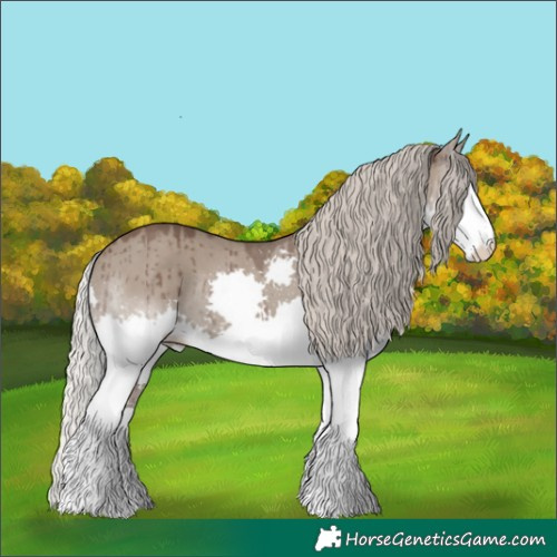 Horse Color:Silver Grullo Splash Brindle