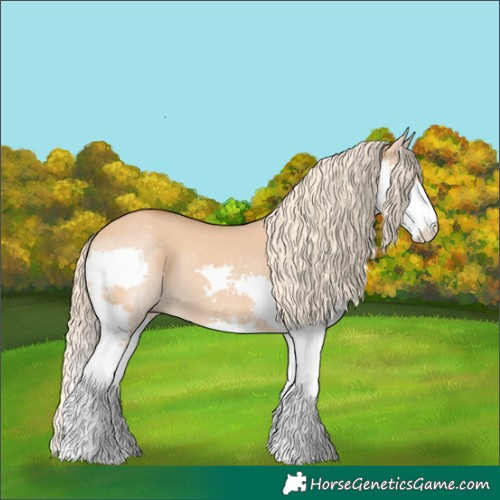 Horse Color:Red Dun Splash 