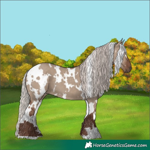 Horse Color:White Spotted Silver Grullo 