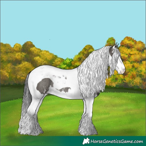 Horse Color:Grullo Sabino Splash Tobiano Rabicano 