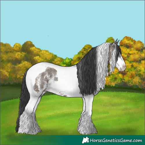 Horse Color:White Spotted Grullo Tobiano Rabicano