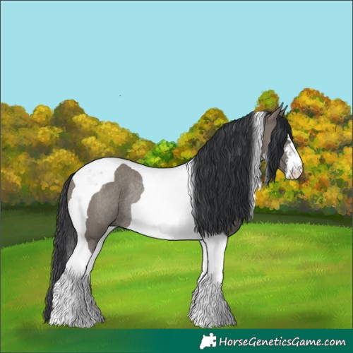 Horse Color:White Spotted Grullo Tobiano Rabicano 
