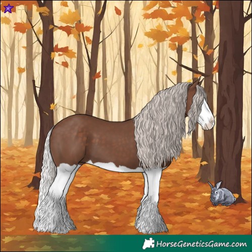 Horse Color:Silver Black Splash 