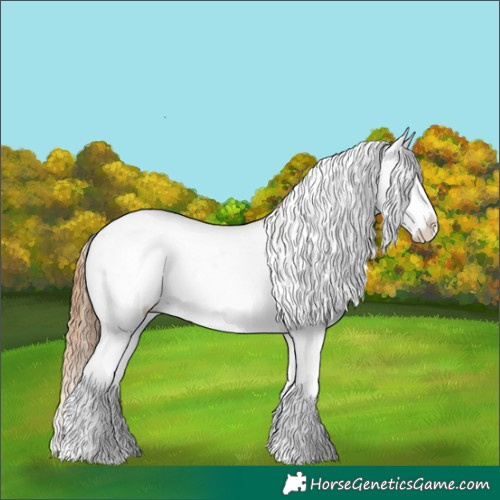 Horse Color:Red Dun Sabino Splash Rabicano 
