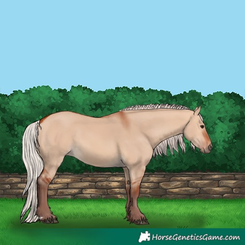 Horse Color:Chocolate Silver Bay Dun