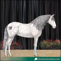 Horse Color:Platinum Painted Gold Champagne Sabino Blanket
