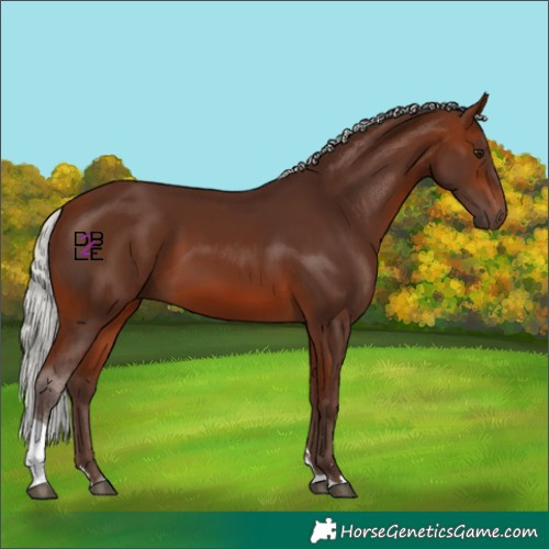 Horse Color:Silver Brown Mushroom Tobiano