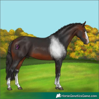 Horse Color:Bay Mushroom 