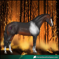 Horse Color:Bay Mushroom