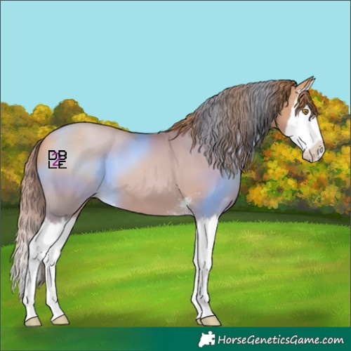 Horse Color:Brown Pearl Sabino Splash 