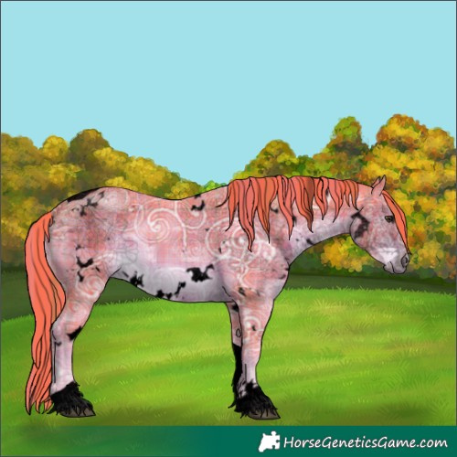 Horse Color:Void Watercolor Plaid White Spotted Liver Chestnut Ice Tobiano