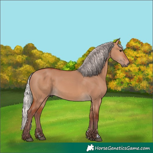 Horse Color:Chocolate Silver Bay Dun