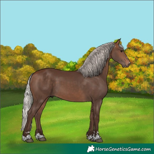 Horse Color:Silver Bay