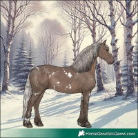Horse Color:White Spotted Silver Black 