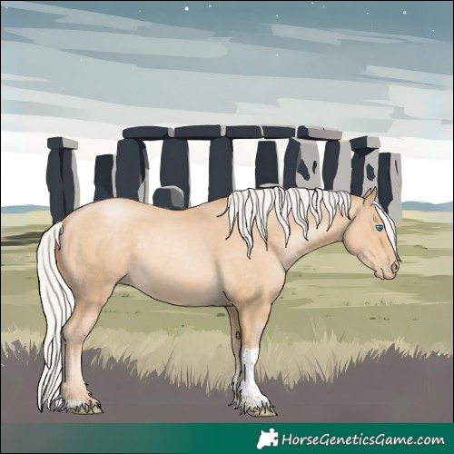 Horse Color:Silver Smoky Black Pearl Tobiano