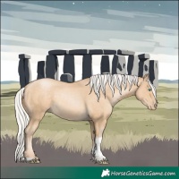 Horse Color:Silver Smoky Black Pearl Tobiano