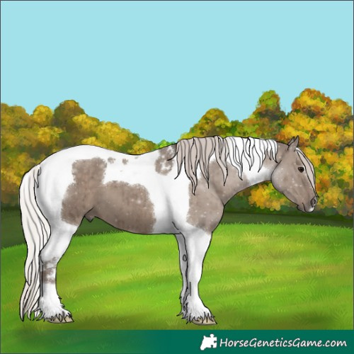 Horse Color:Silver Grullo Ice Tobiano Brindle 