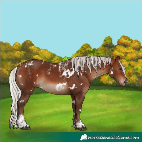 Horse Color:Powder White White Spotted Silver Bay