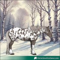 Horse Color:Silver Black Tobiano Near Leopard