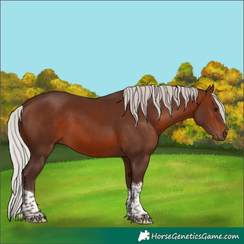 Horse Color:Silver Brown Tobiano 