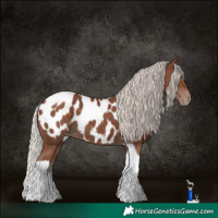 Horse Color:Silver Black Tobiano Blanket