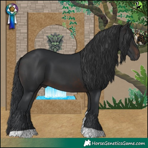 Horse Color:Brown Tobiano