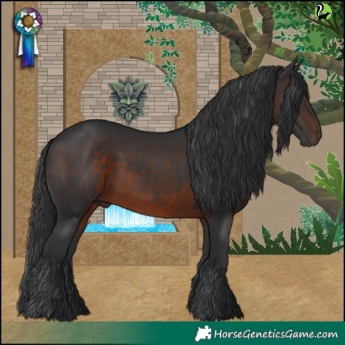 Horse Color:Brown 