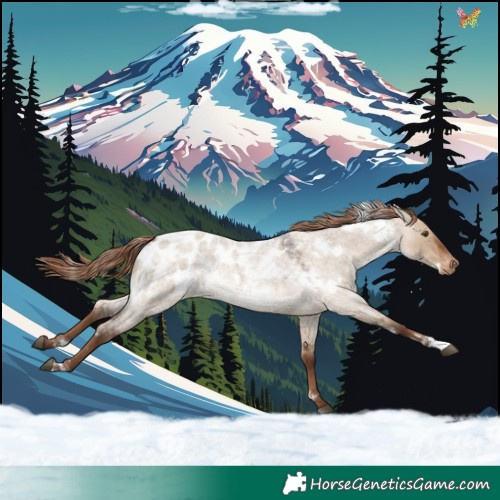 Horse Color:White Spotted Liver Red Dun Roan Appaloosa Rabicano