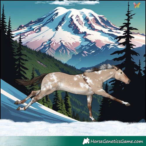 Horse Color:White Spotted Liver Red Dun Rabicano