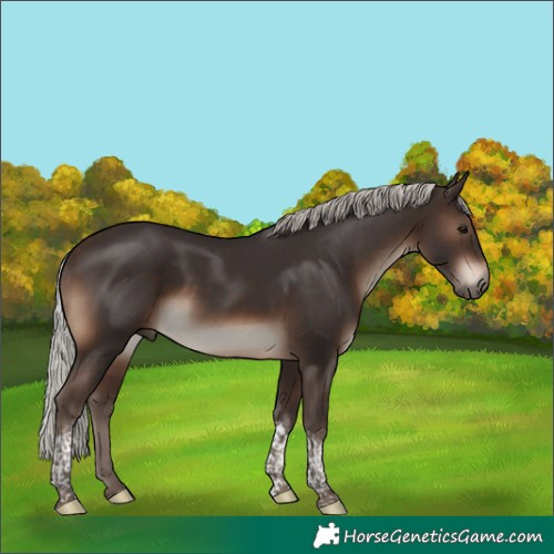 Horse Color:Silver Brown Tobiano 