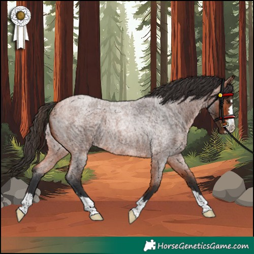 Horse Color:Bay Roan Rabicano 