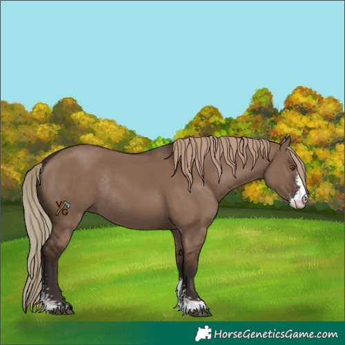 Horse Color:Liver Red Dun Sabino Rabicano
