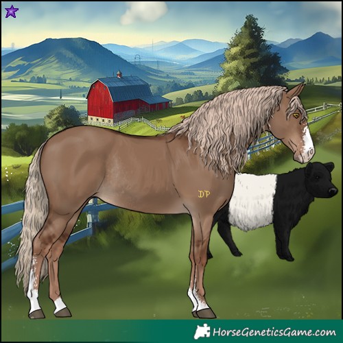 Horse Color:Liver Red Dun Sabino Rabicano