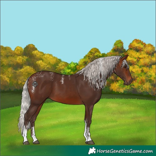 Horse Color:Powder White Silver Brown Tobiano 