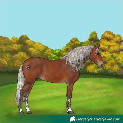 Horse Color:Silver Brown