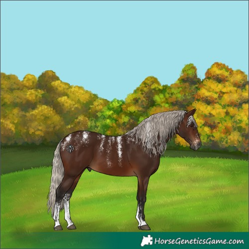 Horse Color:Powder White Gray Silver Bay