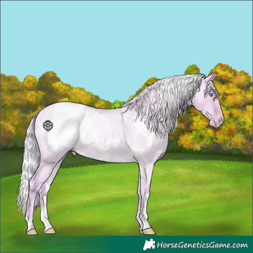 Horse Color:Watercolor White Spotted Silver Smoky Grullo Roan Pearl Rabicano 
