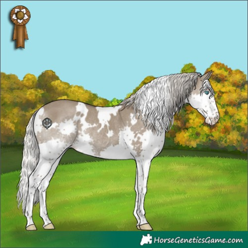 Horse Color:White Spotted Silver Smoky Grullo Splash Rabicano