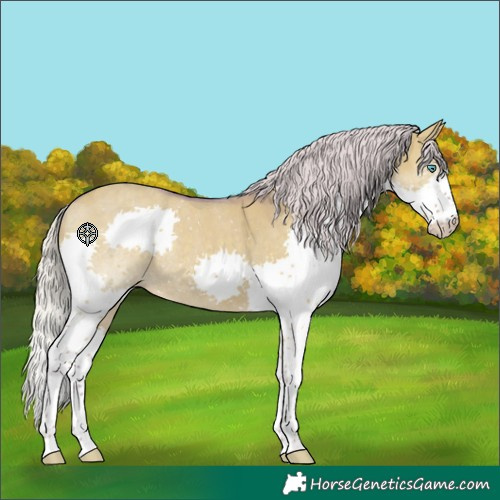 Horse Color:Watercolor Silver Smoky Grullo Splash Rabicano 