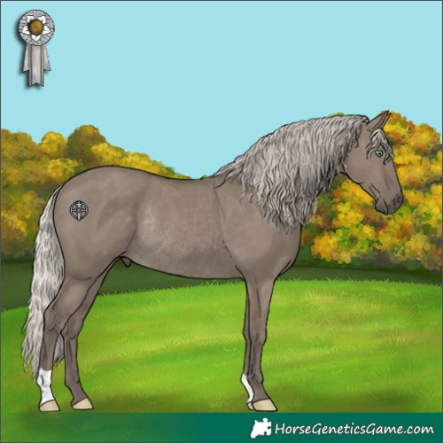 Horse Color:Silver Smoky Grullo Rabicano 
