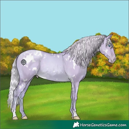 Horse Color:Watercolor White Spotted Silver Smoky Grullo Pearl Rabicano 