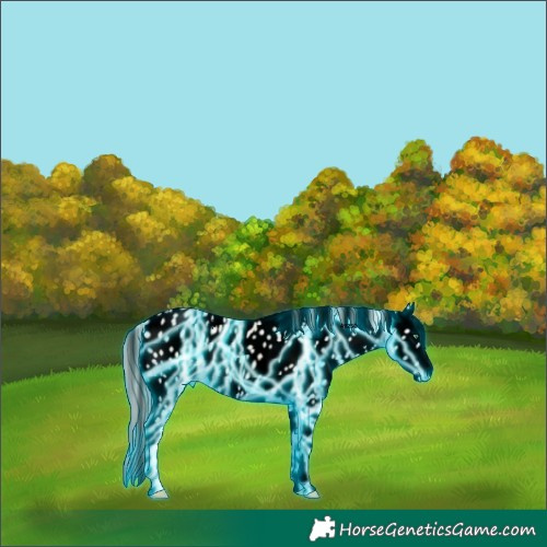 Horse Color:Void Thunderstruck Cremello Ice Onyx Tobiano Near Leopard 