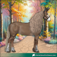 Horse Color:Liver Red Dun Sabino Rabicano