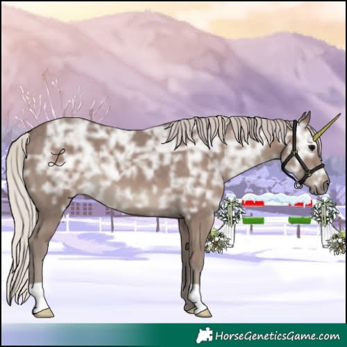 Horse Color:Silver Black Ice 