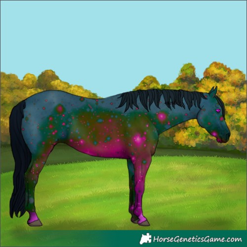 Horse Color:ERROR: UNKNOWN ANOMALY