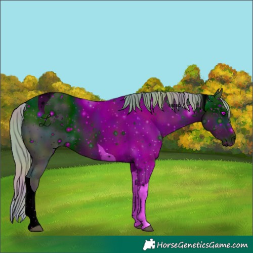 Horse Color:ERROR: UNKNOWN ANOMALY