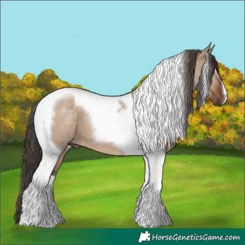 Horse Color:Liver Red Dun Tobiano 