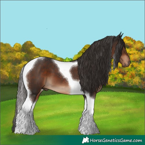 Horse Color:Liver Chestnut Tobiano 