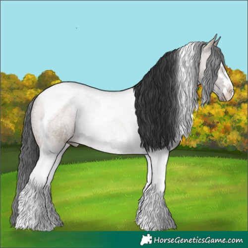 Horse Color:Brown Dun Tobiano