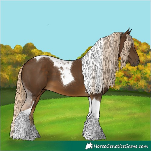 Horse Color:Chocolate Palomino Tobiano